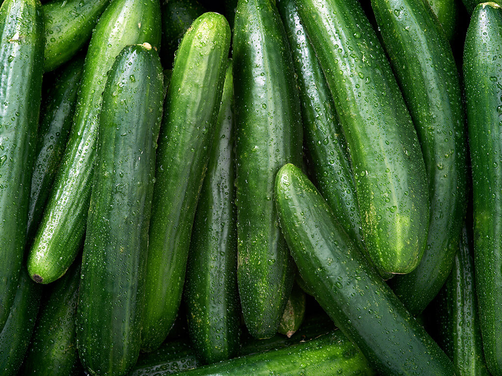 cucumber background